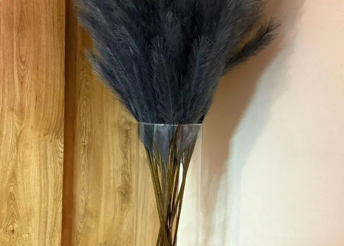 Apartment Soul&summit By Interhome *